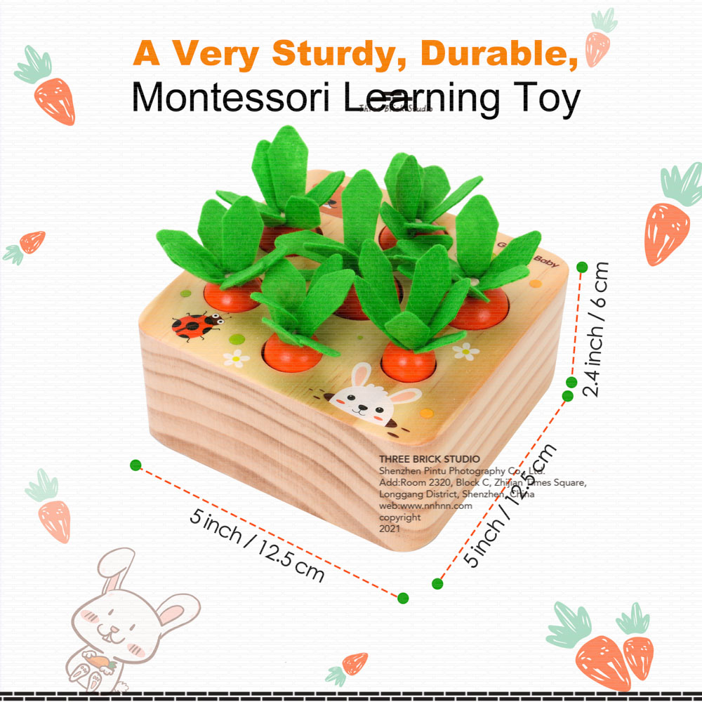 Amazon Product Photography in China Children's wooden toys wormhole + carrots Listing Dimensioning 2